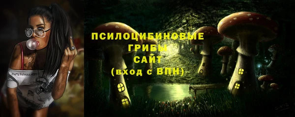 молекула духа Алексин
