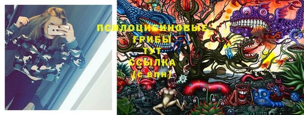 молекула духа Алзамай